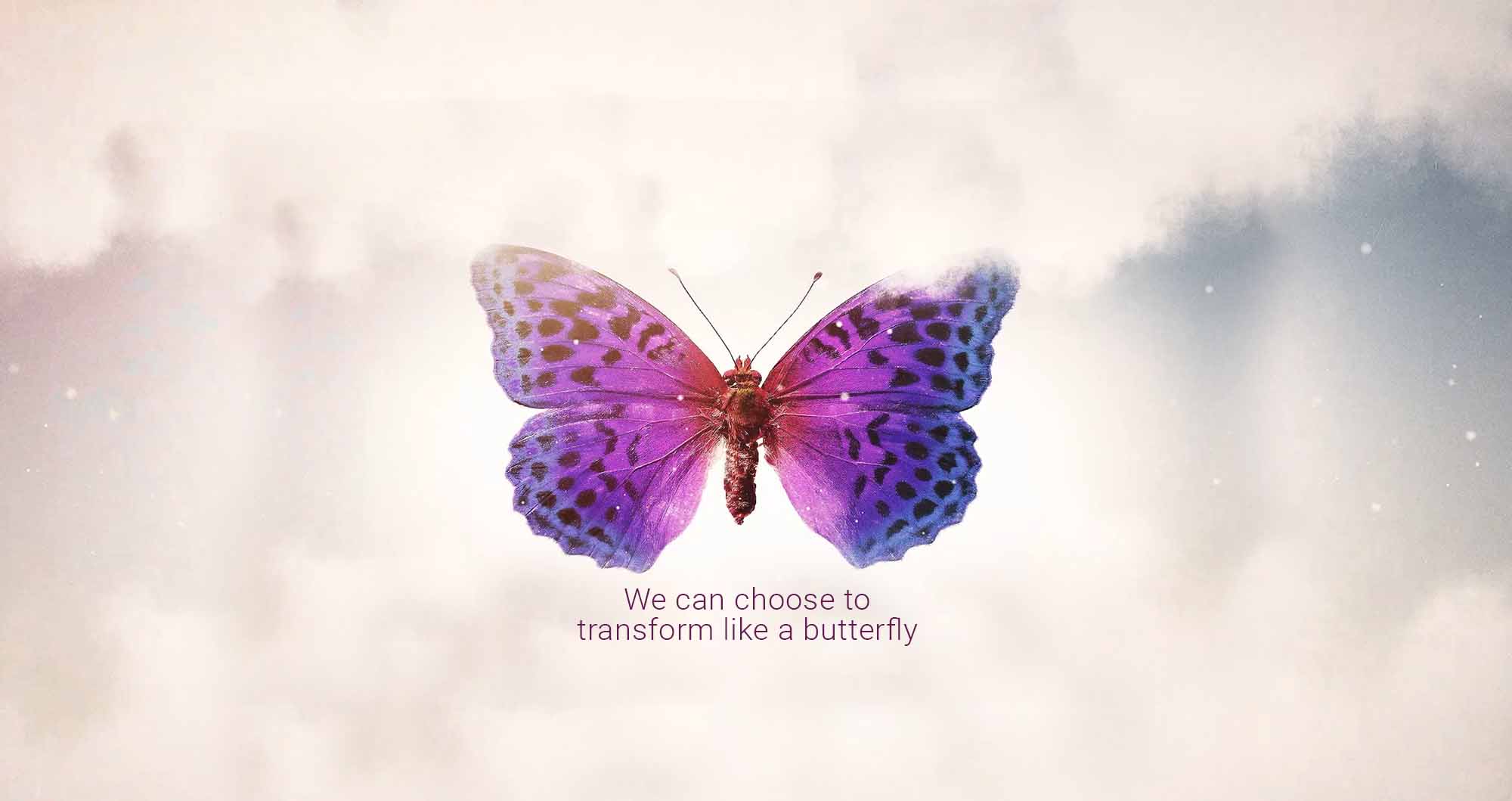 Dream Life Transformation Video